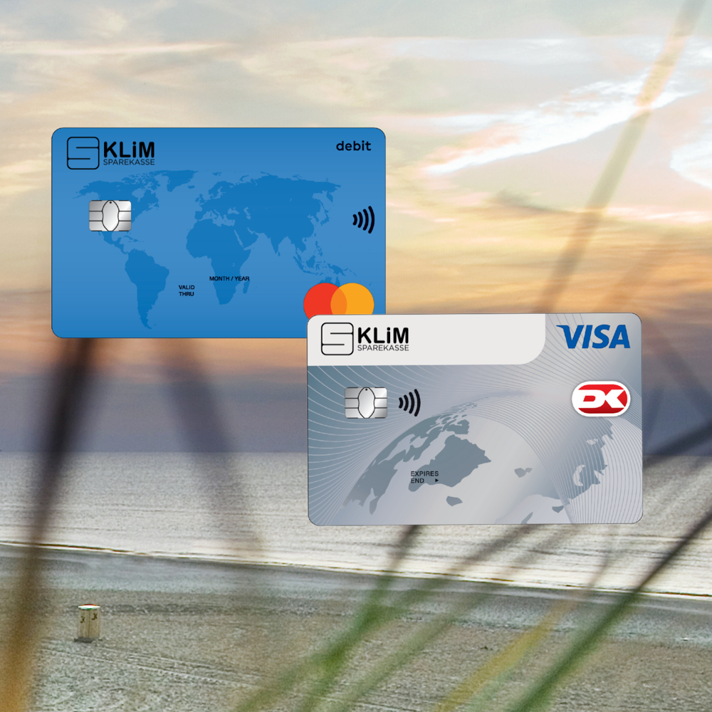 Mastercard Og Visa Dk (1)